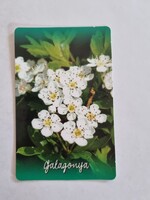 Galagonya 2018. évi kártyanaptár - Jelölje be, mikor ellenőrzi a vércukorszintjét!
