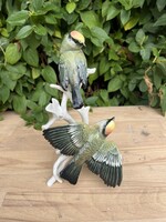 Very rare ENS birds.