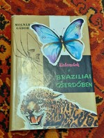1962-MOLNÁR GÁBOR: KALANDOK A BRAZILIAI ŐSERDŐBEN-GONDOLAT