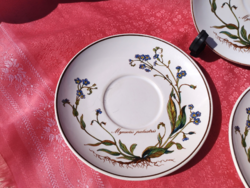 Villeroy & Boch, Botanica növényhatározós porcelán csészealj, kistányér