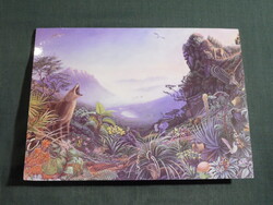 Képeslap,Közép Amerika,Costa Rica,Neotropica alapítvány,művészet,Deidre Hyde grafika,1993-