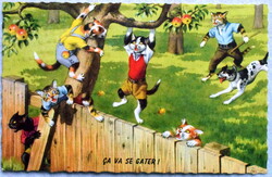 Régi retro humoros grafikus képeslap cica , cicás