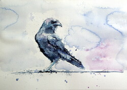 Crow - watercolor painting/ Varjú -   akvarell festmény