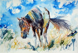 Horse - watercolor painting/ Ló -   akvarell festmény