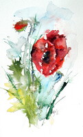Little poppy II-  watercolor painting - Kis pipacs II -  akvarell festmény