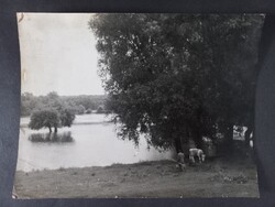 Régi nagyméretű fotó Duna-parti csendélet - Ekés
