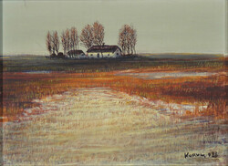 Kurucz D. István : Tanya 1986