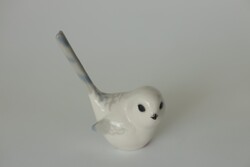 Lomonosov cinege madár