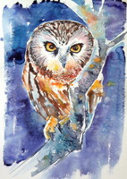 Owl at night- watercolor painting -Bagoly az éjszakában -akvarell festmény