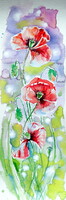 Poppies of summer VI  - watercolor painting -Nyári pipacsok VI-akvarell festmény