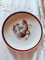 Retró ritka cicás mintás porcelán mesetányér