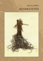 Bodrog Miklós: Rendeltetés