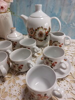 Icu patterned Great Plain porcelain coffee set