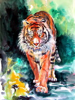 Tiger in the forest -  watercolor painting - Tigris az erdőben  -akvarell festmény