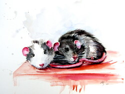 Rats -  watercolor painting -Patkányok -akvarell festmény
