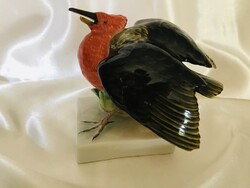 Herendi paradicsommadár,