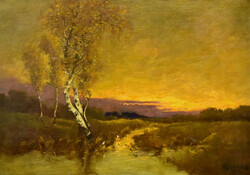 K. Spányi Béla (1852-1914): NAPLEMENTE GÓLYÁKKAL