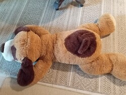 Freddy , 140 cm -es óriás kutyus