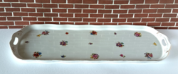 Beautiful Antique Czech Pirkenhammer Porcelain Tray