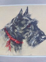 Angol vintage kutyás üdvözlőlap (schnauzer)