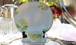 Villeroy & boch reggeliző szett