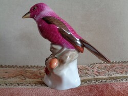 HERENDI KARDINÁLIS MADÁR