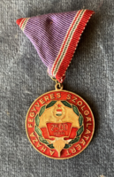 2500 Ejtőernyős Ugrás A Haza Fegyveres Szolgálatáért - kitüntetés