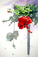 Hibiscus -  watercolor painting  - Hibiszkusz - akvarell festmény