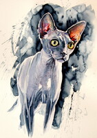Sphynx cat -  watercolor painting -Szfinx macska- akvarell festmény