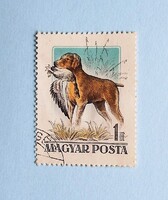 (Z) 1956. Magyarországi kutyafajták I. - 1 Ft-os érték - TÉVNYOMAT!!! - (Kat.: 2.000.-) - LEÍRÁS!!!
