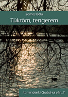 Somos Béla: Tükröm, tengerem - Itt mindenki Godot-ra vár...?