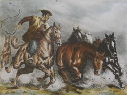 (N) Olvashatatlan (20.sz.közepe) : Csikós