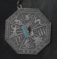 Városi testnevelési és sport felügyelőség Szeged kitüntetés