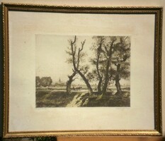 (N) Zádor István (1882-1963) : Szajoli országút