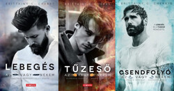 Brittainy C. Cherry: Az vagy nekem / Elements - sorozat 1-3.