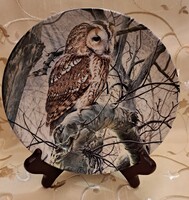 Baglyos tányér, madaras porcelán dísztányér 10 (L5879)