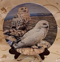 Baglyos tányér, madaras porcelán dísztányér 3 (L5873)