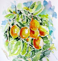 Lemons-  watercolor painting - Citromok-  akvarell festmény