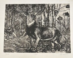 Farsang Sándor : Szarvas