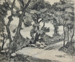 (N) Biai Föglein István (1905-1974) : Vízpart