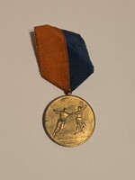 Vasas MÁVAG sportérem vívás