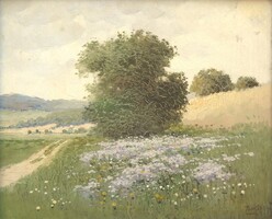 (N) Zorkóczy Gyula (1873-1932) : Nyár