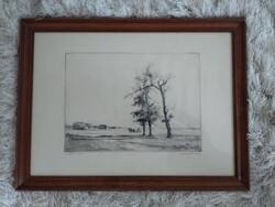 Zádor István "Aratás után"