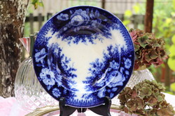 Antik August Nowotny Altrohlau falitányér