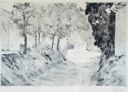 Biai Föglein István „Árnyas út”