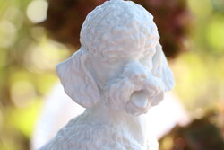 Porcelán pudli ,uszkár