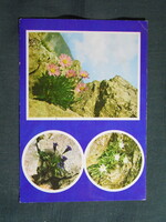 Képeslap,Szlovákia,Vysoké Tatry,Magas Tátra,nővényvilág,tárnics,havasi gyopár,havasi őszirózsa,1973-