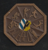 Szegedi sport bronz plakett.