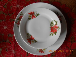 Zsolnay mikulásvirág mintás süteményes készlet