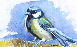 Titmouse - watercolor painting /Sárga cinege- akvarell festmény